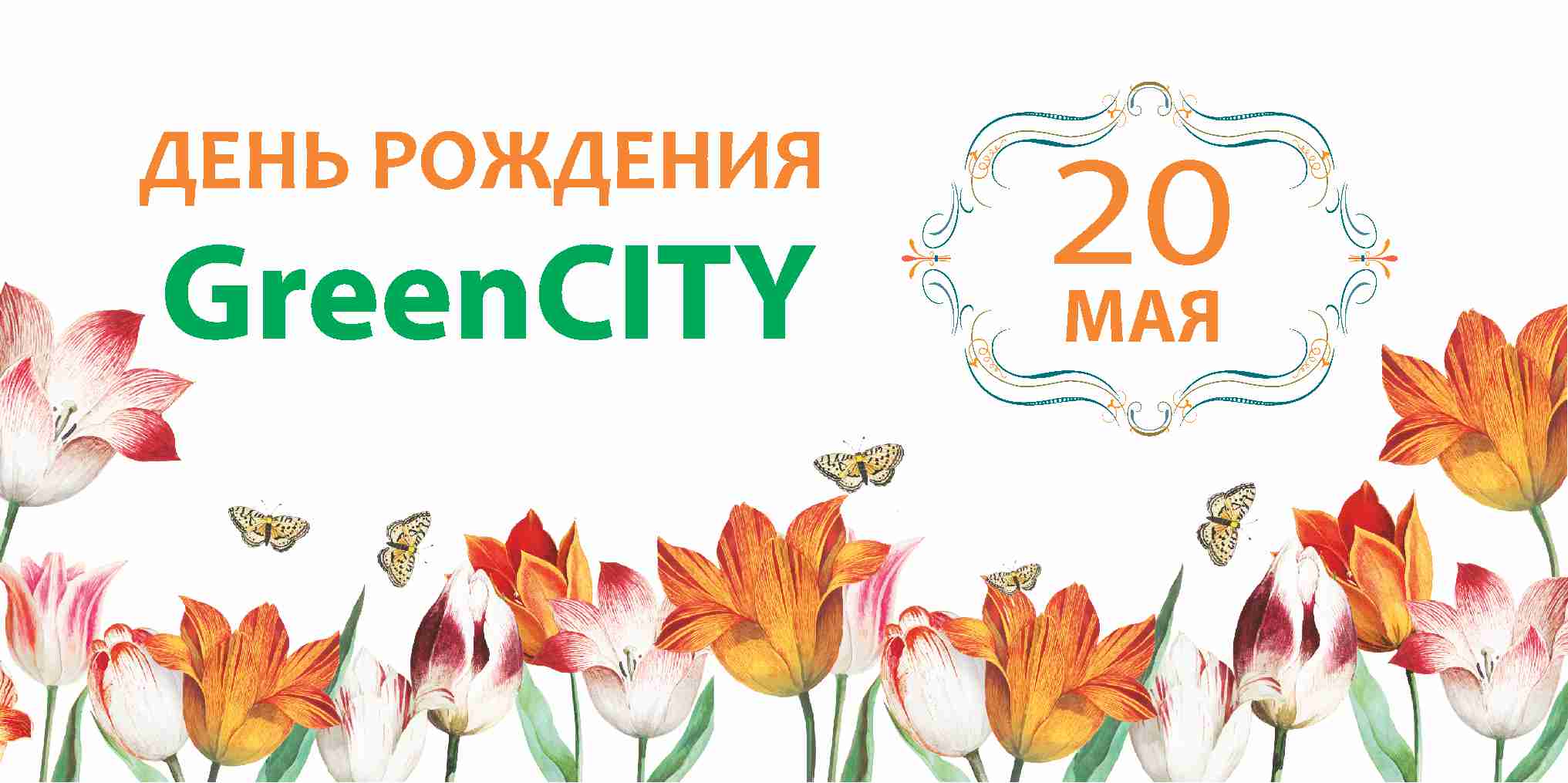 День рождения химчистки GreenCITY 20 мая - GreenCity